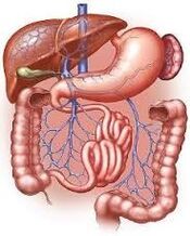 trato gastrointestinal